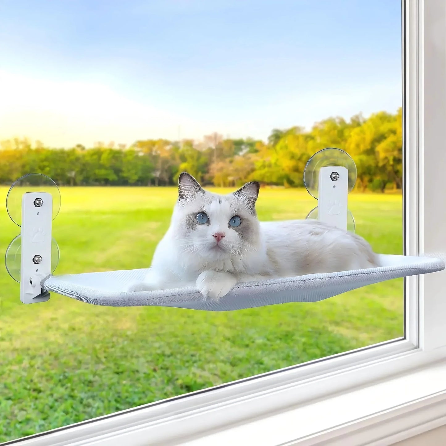 Cat Window Perch, Kitten Hammock & Shelf for Wall ,Foldable Pet Beds for Indoor Cat, Gray